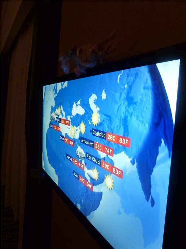 Кукольный шок или Светланка в Арабских Эмиратах