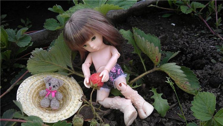 Немного лета в холода — Куклы Dollzone (Доллзон): BJD (БЖД)