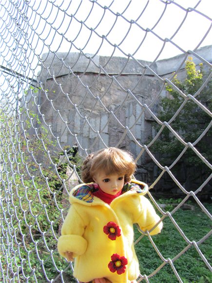 Наша традиционная майская прогулка по Московскому зоопарку