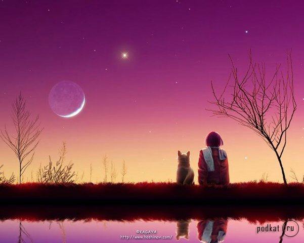 "...тот, кто любит, всегда отличит свою розу...даже с закрытыми глазами..." Последний полет