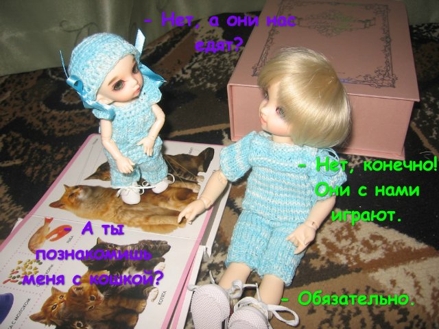 Старший брат — Домашние коллекции кукол: фото собраний