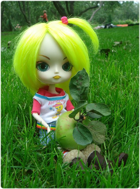 Byul и DAL. Подружки кукол Пуллип, Pullip (фото 6)