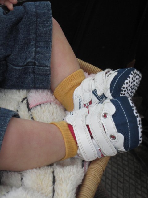 У нас появились новенькие