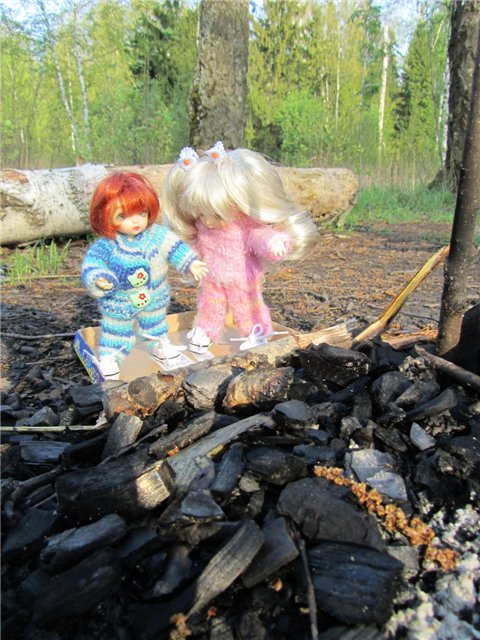 Весенний день... или как девочки ходили на пикник.№2