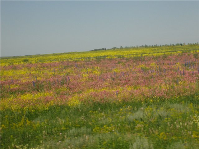 Красота родной Башкирии — Туризм и путешествия: фотоотчеты из поездок