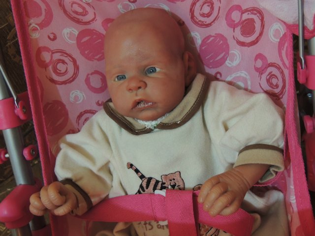 Мои самые маленькие. Коллекция кукол