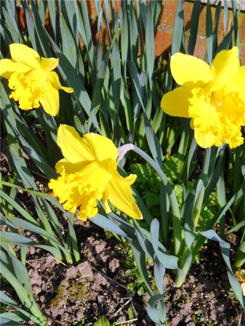 Люблю тебя, английская деревня