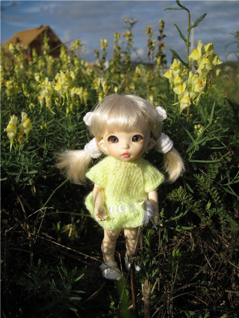 Маленькая дачница! Пукифи Анте Элис | Бэйбики Маленькая дачница! Пукифи Анте Элис