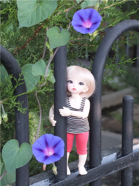 Крымские каникулы для Оливки | Бэйбики Крымские каникулы для Оливки (фото 3)