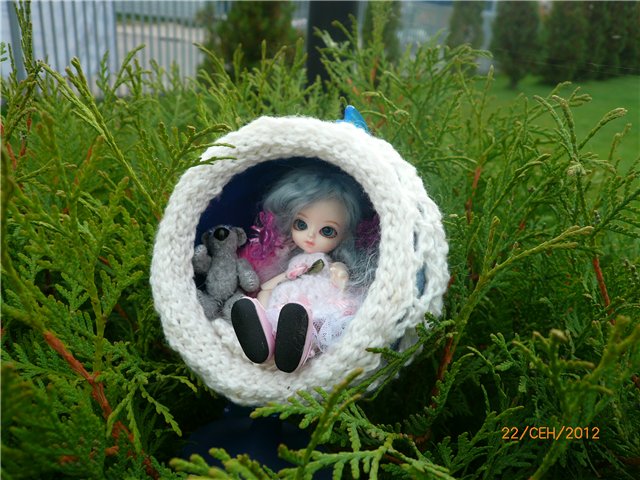 Сосенка Пин. Уютное гнездышко (фото 2)