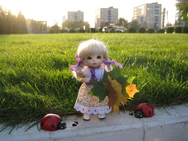 Золотая осень или прогулка по городу БЖД Пукифи Анте -- Элис | Бэйбики Золотая осень или прогулка по городу БЖД Пукифи Анте -- Элис