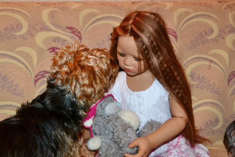 Как протекает наша жизнь. Кукольная коллекция (фото 3)