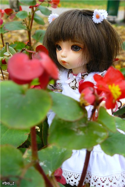 Вот так погуляли или Как у нас появилась кукла БЖД LittleFee Ante Elf (фото 4)