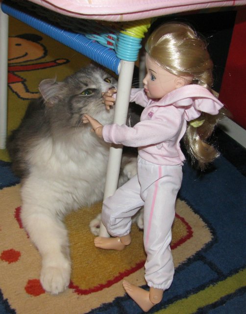 Звездные войны, эпизод десятый: Куклы против котов (фото 3)