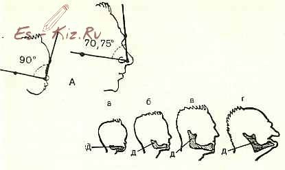 Немножко анатомии: Лепка и роспись кукол-детей (фото 10)