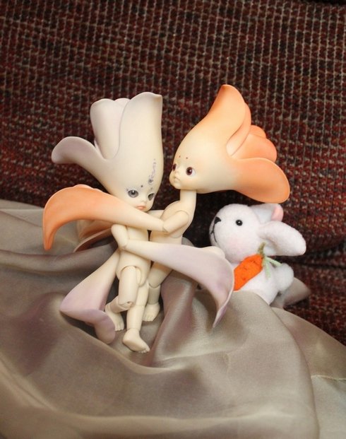 Как мы встречали братишку Гошу! (Цветуля-2). Fairies, Dollzone (фото 10)