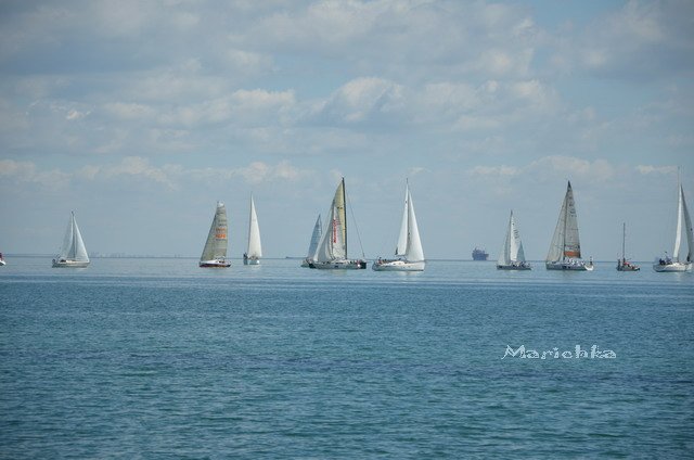 Ассоль-ки. Куколка Ann Estelle от Tonner (фото 10)