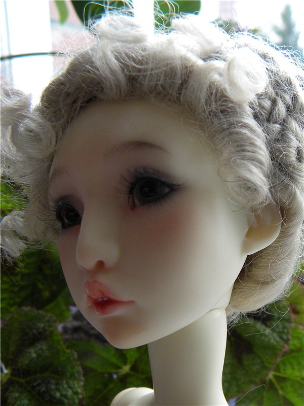 Теперь они вместе. Мои Лилликэтки Constantine и Ninon (фото 3)