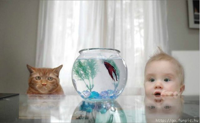 Кому нужна нянька — Болталка и разговоры обо всем: жизнь