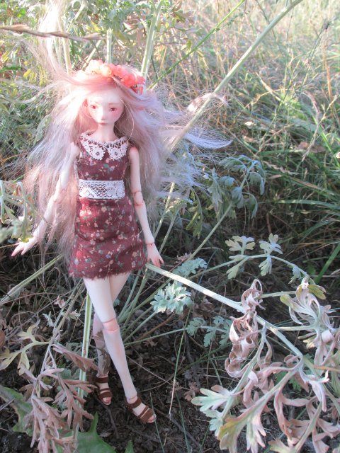 Шарнирные Куклы Варвянской Алины