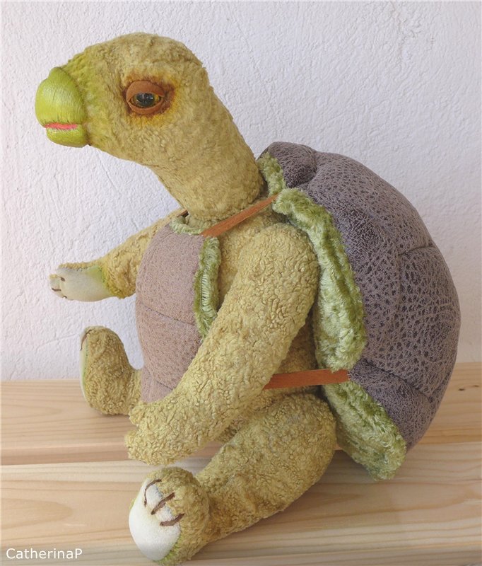 Рожденный ползать летать мечтает (фото 3)