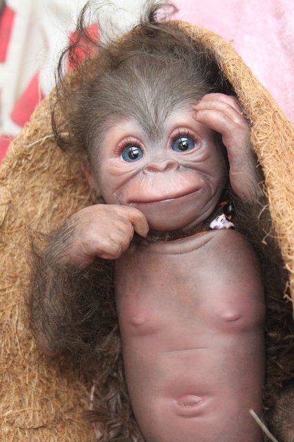 Обезьянка Bindi кукла реборн Элины Кудрявцевой