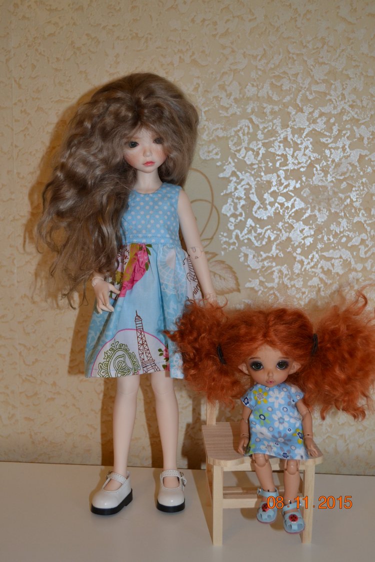 Такие чудные ПукиФи - наш новый член семьи (фото 9)