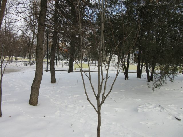 Чем бы заняться юному лорду 30 декабря