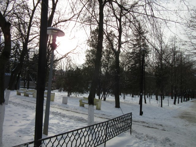 Чем бы заняться юному лорду 30 декабря (фото 8)