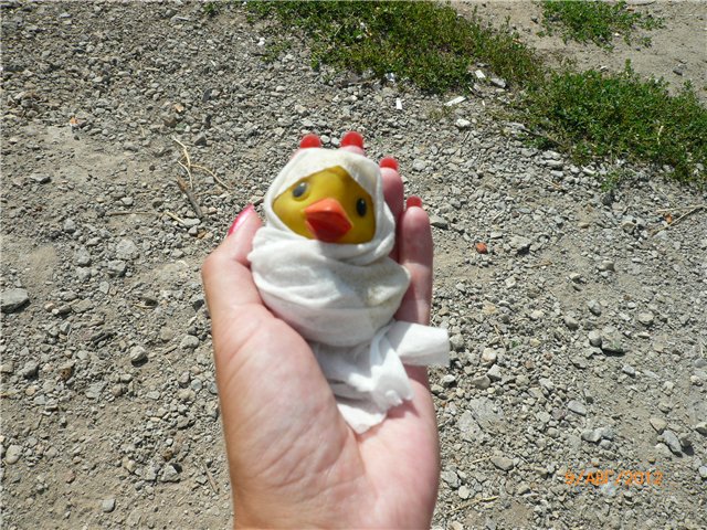 Найденыш Цыпа | Бэйбики Найденыш Цыпа — Интересные игрушки и фигурки (разное): редкие (фото 2)