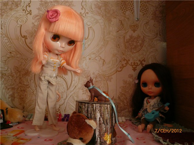 Мои новенькие детки. Сестрички Blythe