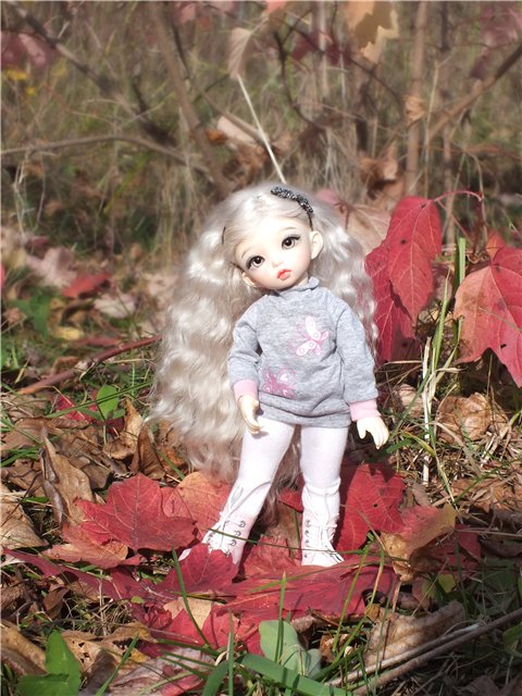 Краски осени... Кукла БЖД Оливка в парке | Бэйбики Краски осени... Кукла БЖД Оливка в парке