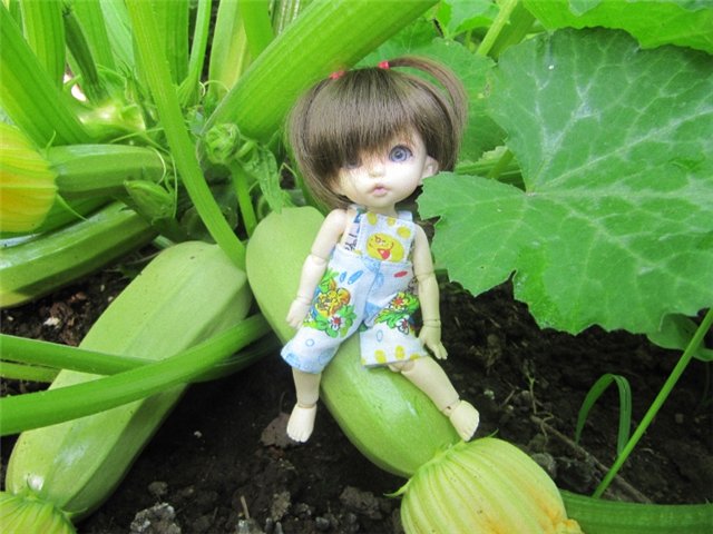 Воспоминания о лете. Куклы БЖД | Бэйбики Воспоминания о лете. Куклы БЖД