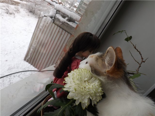 Красавица-Элин,девочка принцесса (фото 8)