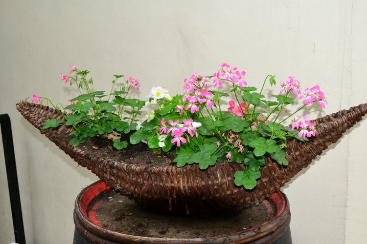 Очарование стринных французских городов (фото 9)