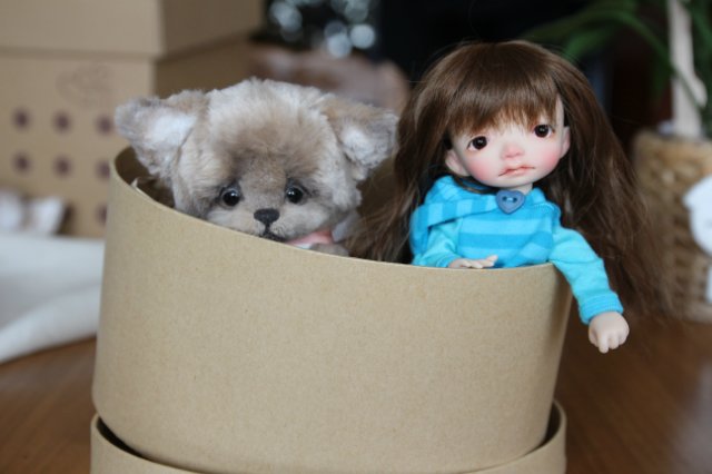 Моя Ириска Irrealdoll Ino (фото 4)