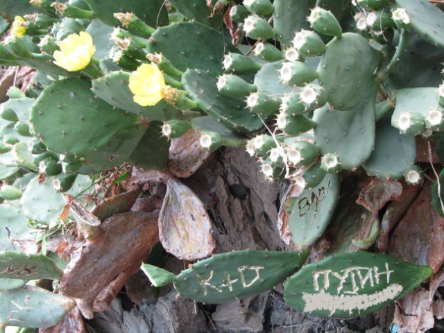 Моя Италия. Часть 2 - Леванто, Манарола