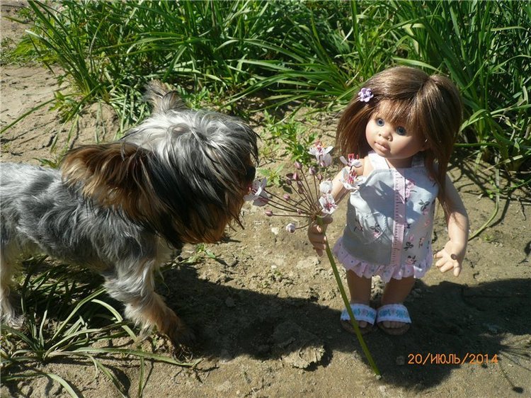 По мотивам "Варежки" — Другие хобби и увлечения: сад