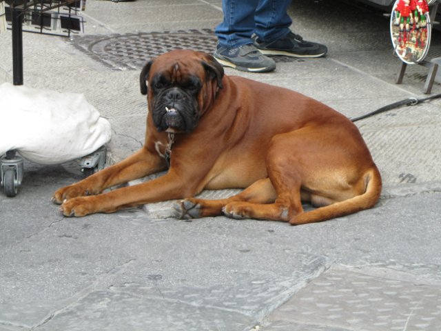 "Моя Италия". Часть 4 - Флоренция (продолжение)