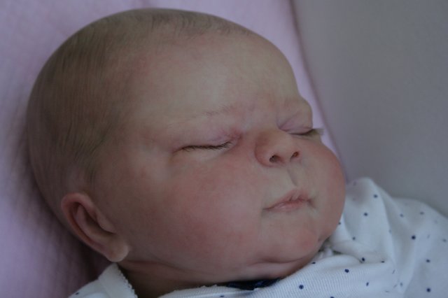 Мои спящие ангелы. Куклы-реборн от мастера Ольги Астаповской