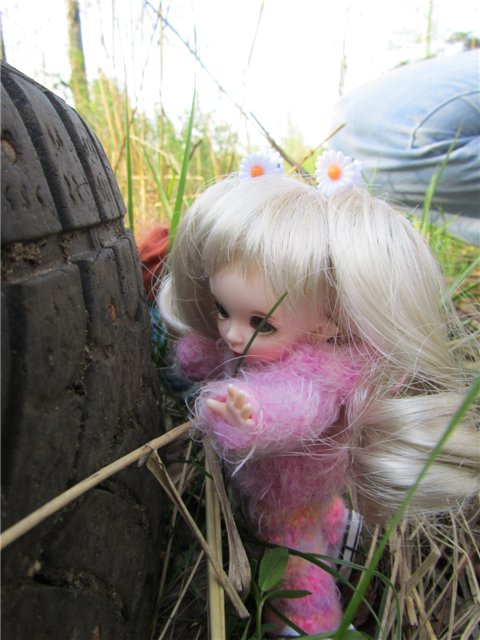 Весенний день... или как девочки ходили на пикник.№2