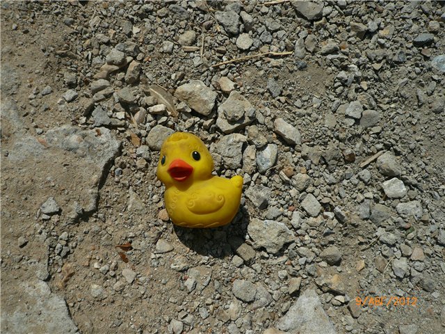 Найденыш Цыпа | Бэйбики Найденыш Цыпа — Интересные игрушки и фигурки (разное): редкие