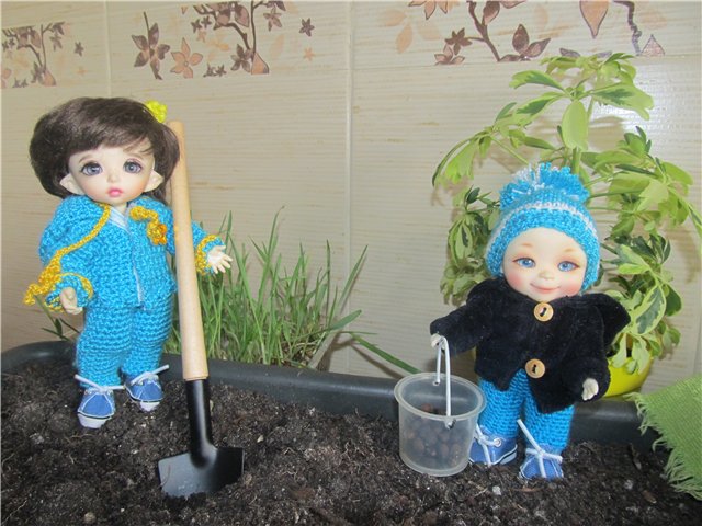 "Мастер-класс" по посадке огорода