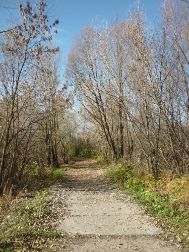 Золотая осень. Старый Оскол, Белгородская область