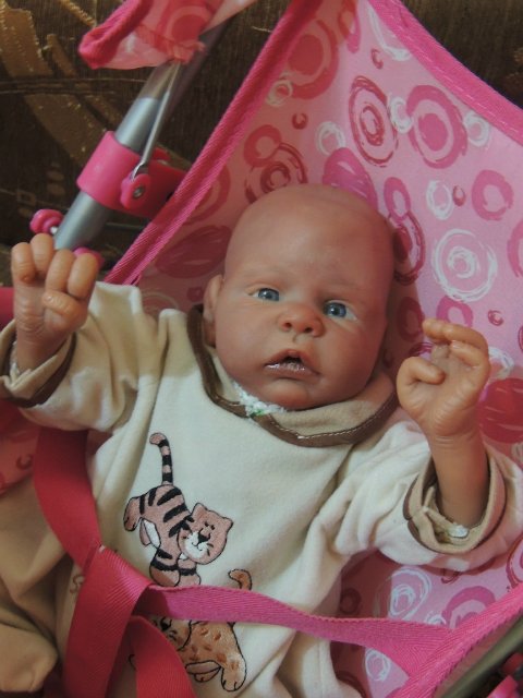 Мои самые маленькие. Коллекция кукол