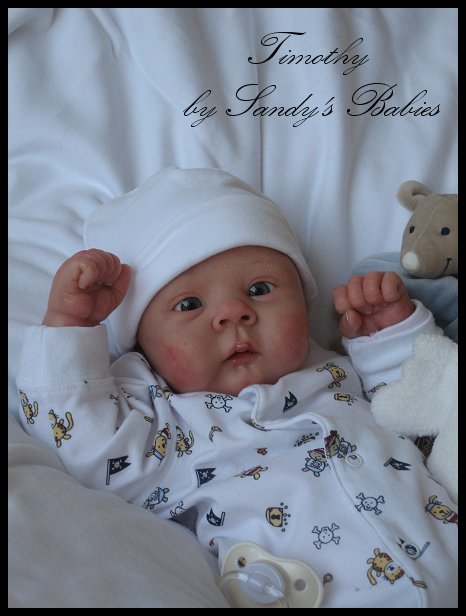 Самые реальные куклы-малыши Сэнди Файбер (Sandy Faber dolls) | Бэйбики Самые реальные куклы-малыши Сэнди Файбер (Sandy Faber dolls) (фото 2)