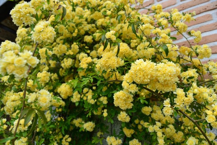 Очарование старинных городов