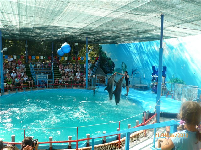 Сосенка Пин. Отпуск — Разные куклы BJD (БЖД): редкие бренды