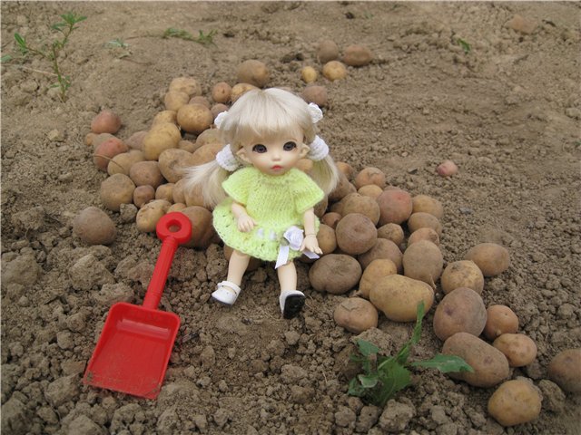 Маленькая дачница! Пукифи Анте Элис | Бэйбики Маленькая дачница! Пукифи Анте Элис