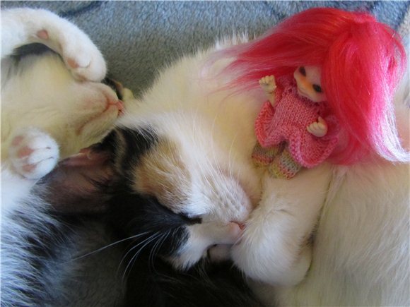 Одним субботним утром... Кукла BJD, Baby Iplehouse Doll Элин | Бэйбики Одним субботним утром... Кукла BJD, Baby Iplehouse Doll Элин (фото 3)